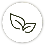 Amrit Vana - icons